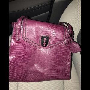 Danielle Nicole Purse